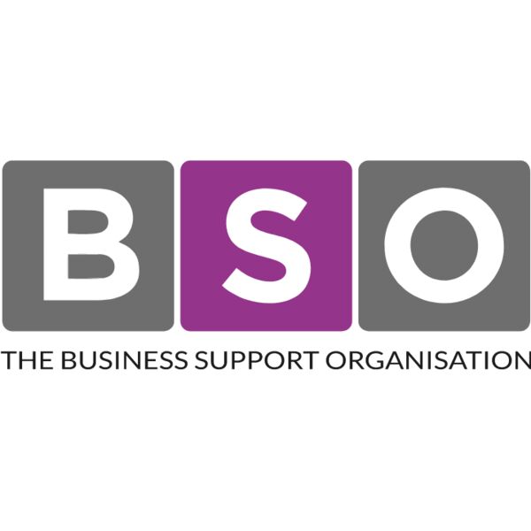 BSO Logo Thumbnail
